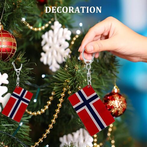 Norway Flag Keychain - Double Sided Acrylic D Shape Chains Norwegian Flags Key Chains Men and Women Style Car Key chain Gifts Decoration (3 Pcs) in Kuwait