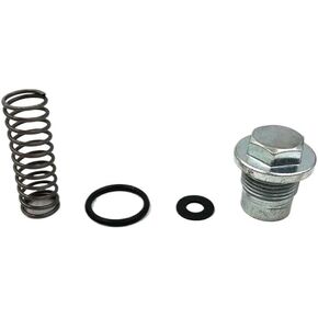 Motorcycle Cylinder Tensioner Engine Cylinder Repair Kit With Spring Screw Seal Compatible With CR6 LX300-6A VOGE300R YF300 in Kuwait