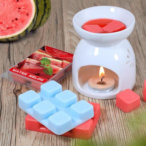 STRN Wax Melts, Soy Wax Cubes 6 Scents Mint, Watermelon, Mango, Passion Fruit, Pineapple & Strawberry, Summer Fruit Scented Long-Lasting Home Fragrance for Wax Warmers, Yoga, 1.25 OZ * 6 Packs in Kuwait