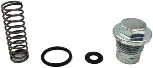Motorcycle Cylinder Tensioner Engine Cylinder Repair Kit With Spring Screw Seal Compatible With CR6 LX300-6A VOGE300R YF300 in Kuwait