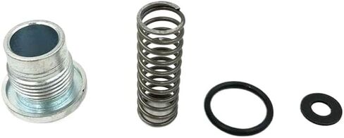 Motorcycle Cylinder Tensioner Engine Cylinder Repair Kit With Spring Screw Seal Compatible With CR6 LX300-6A VOGE300R YF300 in Kuwait