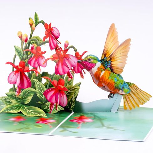 Humming Bird Pop Up Card, Fuchsia, 3D Popup Greeting Cards, Gift For Birthday, Mothers Day, Anniversary, Valentines, Thinking Of You, Thank You, 5x7 - Includes Envelope And Message Note in Saudi Arabia