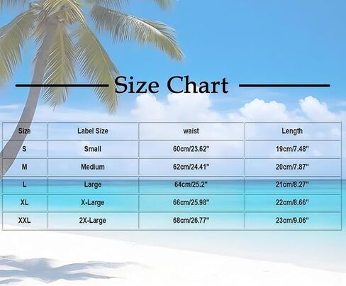 4pcs Women No Show Lace Stretch Sexy Low Waist Soft Underwear Cheeky Breathable Comfortable Panties in Saudi Arabia