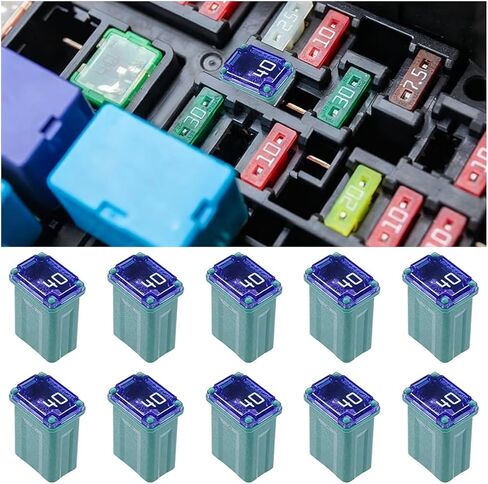 10PCS 40 Amp Car Micro Cartridge Fuses, Slow Blow FMM Mcase Female Fuses, Low Profile Mini Box Shaped Fuse Replacement, Standard Automotive Fuse for Truck SUV Boat(40A) in Saudi Arabia