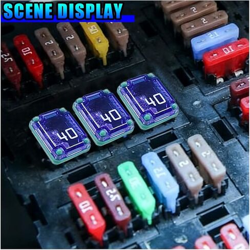 10PCS 40 Amp Car Micro Cartridge Fuses, Slow Blow FMM Mcase Female Fuses, Low Profile Mini Box Shaped Fuse Replacement, Standard Automotive Fuse for Truck SUV Boat(40A) in Saudi Arabia