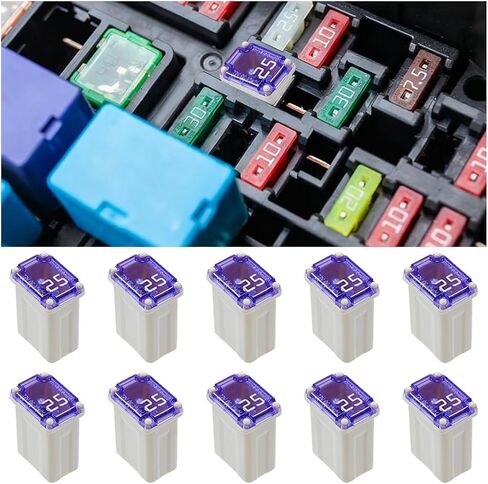 10PCS 40 Amp Car Micro Cartridge Fuses, Slow Blow FMM Mcase Female Fuses, Low Profile Mini Box Shaped Fuse Replacement, Standard Automotive Fuse for Truck SUV Boat(40A) in Saudi Arabia