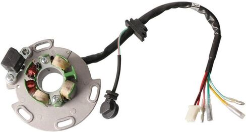 Motorcycle 150cc Coil Stator Magneto Compatible with LF150 150cc Horizontal Engine Pit Bicycle in Kuwait