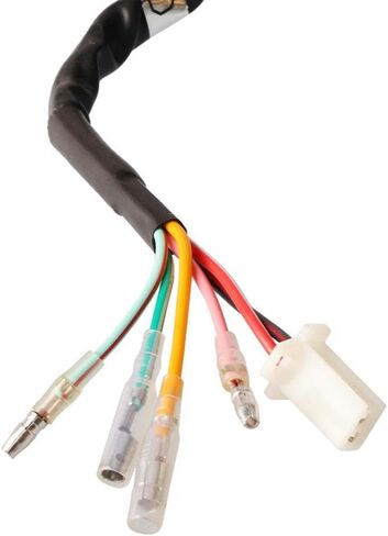 Motorcycle 150cc Coil Stator Magneto Compatible with LF150 150cc Horizontal Engine Pit Bicycle in Kuwait