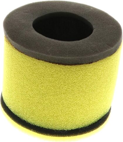 FS-917, Air Filter for Suzuki Quadracer 450 (LT-R450) fits 2006-2009 in Saudi Arabia