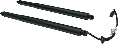 2PCs Tailgate Lift Support Liftgate Compatible with Chevrolet Equinox 2018 2019 2020 2021 2022 84569355 84133944 in Saudi Arabia