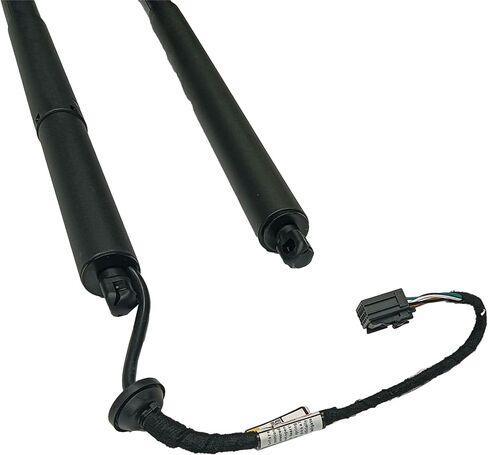 2PCs Tailgate Lift Support Liftgate Compatible with Chevrolet Equinox 2018 2019 2020 2021 2022 84569355 84133944 in Saudi Arabia