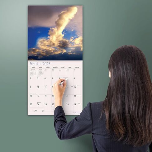 MICASA PRESS - D'ck Pics in Nature 2025 Wall Calendar 12 Month | 12" x 24" Open | Thick & Sturdy Paper | Giftable | Secret Santa White Elephant Swap Gag Gift | Funny Calendar 2025 in Kuwait