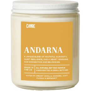 CANDECraftCo Bookish Gifts for Women – Scented Candle for Readers – Cozy Book-Themed Literary Gifts for Friends on Birthday - Xaden in Kuwait