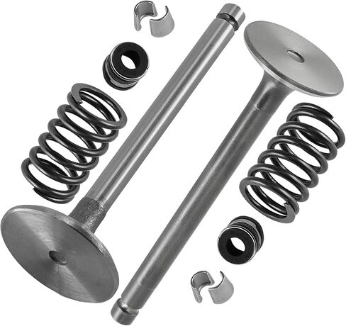 Caltric Intake and Exhaust Valve Kit Compatible with Kohler CH18-62520 CH18-62556 CH18-62565 CH18-62572 CH18-62579 CH18-62590 CH18-62594 in Saudi Arabia