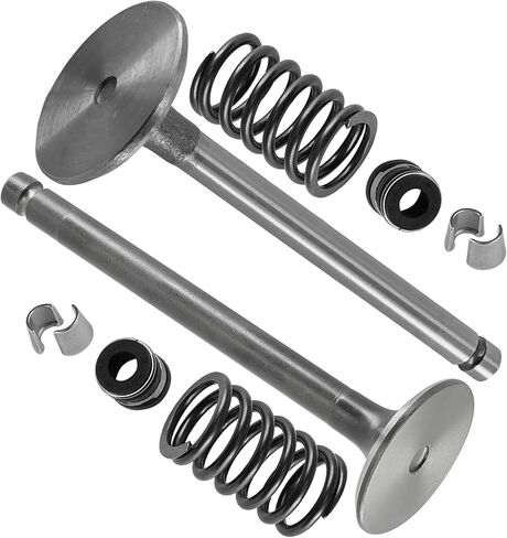 Caltric Intake and Exhaust Valve Kit Compatible with Kohler CH18-62520 CH18-62556 CH18-62565 CH18-62572 CH18-62579 CH18-62590 CH18-62594 in Saudi Arabia