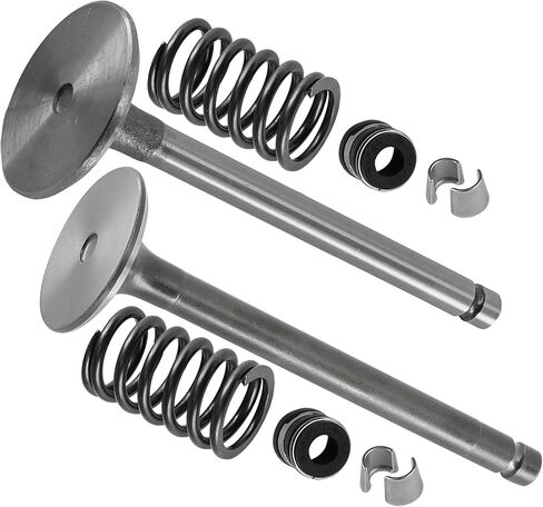 Caltric Intake and Exhaust Valve Kit Compatible with Kohler CH18-62520 CH18-62556 CH18-62565 CH18-62572 CH18-62579 CH18-62590 CH18-62594 in Saudi Arabia
