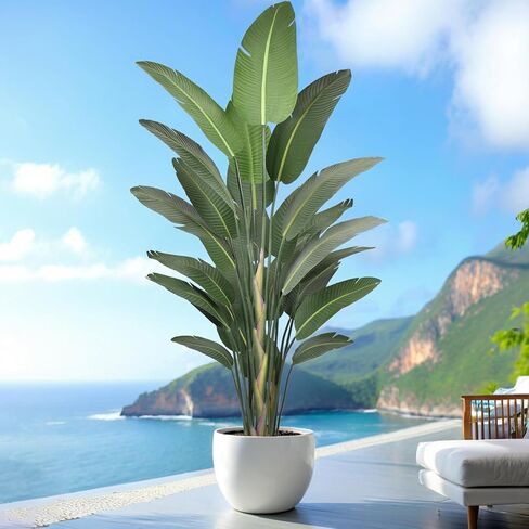 6FT طائر الجنة الاصطناعي شجرة 70 بوصة طويل القامة من الحرير الصناعي أوراق الموز مع 13 صندوقًا في وعاء أسود لديكور المنزل وغرفة المعيشة وغرفة النوم والمكتب in Kuwait