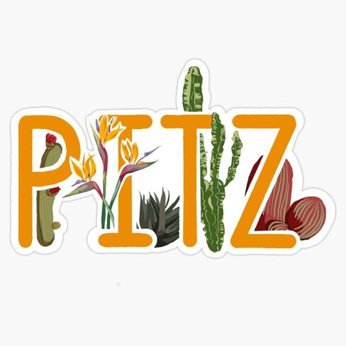 PITZER Window Water Bottle Bumper Sticker Decal 5" in Saudi Arabia