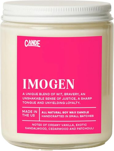 CANDECraftCo Bookish Gifts for Women – Scented Candle for Readers – Cozy Book-Themed Literary Gifts for Friends on Birthday - Xaden in Saudi Arabia