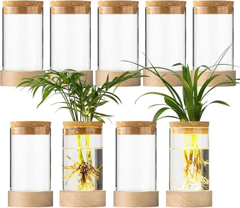 Glass Plant Propagation Stations, Propagation Vases for Plants with Ambient Light Base, Hydroponic Vase for Home & Office Windowsill Tabletop Decoration Desktop Vases for Living Room, Bedroom (2) in Saudi Arabia