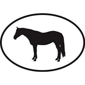 DG Graphics Magnet Quarter Horse Euro Oval Magnet Car Auto Fridge Locker Metal 5" in Kuwait