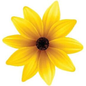 Magnet Beautiful Watercolor Spring Gerber Daisy Flower Painting Icon Magnetic Vinyl Magnet Bumper Sticker (4" Tall, Yellow) in Kuwait