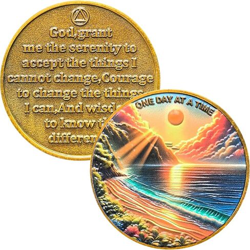 One Day At A Time Inspiring Sobriety Chip for Daily Motivation and Recovery AA Medallion in Kuwait