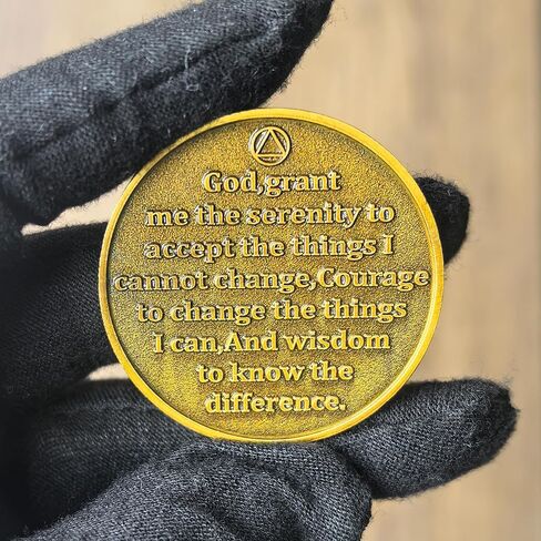 One Day At A Time Inspiring Sobriety Chip for Daily Motivation and Recovery AA Medallion in Kuwait