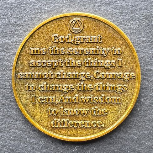One Day At A Time Inspiring Sobriety Chip for Daily Motivation and Recovery AA Medallion in Kuwait
