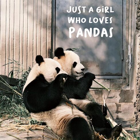 Panda Lover Gifts Women Girl, Cute Panda Journal 200 Pages Notebook A5 Lined with Pen and Keychain, Panda Themed Gift, Inspirational Panda Novelty Gift Ideas, Panda Things for Her Best Friend in Kuwait