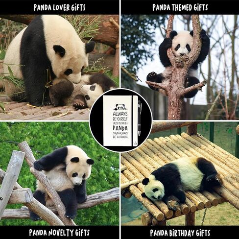 Panda Lover Gifts Women Girl, Cute Panda Journal 200 Pages Notebook A5 Lined with Pen and Keychain, Panda Themed Gift, Inspirational Panda Novelty Gift Ideas, Panda Things for Her Best Friend in Kuwait