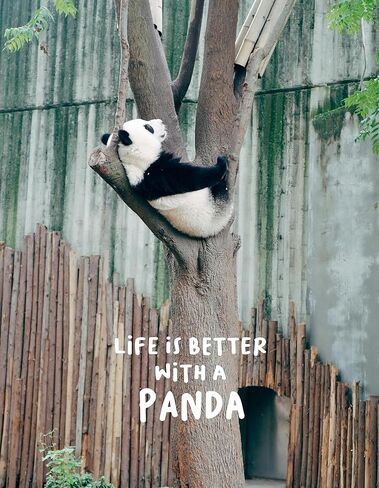 Panda Lover Gifts Women Girl, Cute Panda Journal 200 Pages Notebook A5 Lined with Pen and Keychain, Panda Themed Gift, Inspirational Panda Novelty Gift Ideas, Panda Things for Her Best Friend in Kuwait