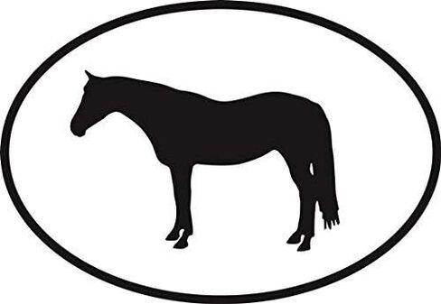 DG Graphics Magnet Quarter Horse Euro Oval Magnet Car Auto Fridge Locker Metal 5" in Saudi Arabia