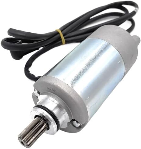 Starter Motor Compatible With Jianshe 250cc 250 JS250 Mountain Lion ATV Quad Wildcat Parts FG8500000 in Kuwait