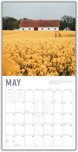 Barns Calendar 2026 | 12" x 24" Countryside Barn Wall Calendar 12 Month | Marble City Press | Country Roads, Heartland Old Barns, Farmland, Simple Country Life Landscapes, On the Farm | 2026-2027 Calendar | Small Family Owned Business | Sustainable Plasti in Kuwait