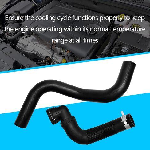 95971214 Lower Radiator Hose & Radiator Outlet Tube Assembly Fits for 2010-2015 Chevy Cruze 1.8L 2016 Cruze Limited 1.8L Replaces 95390894 in Saudi Arabia