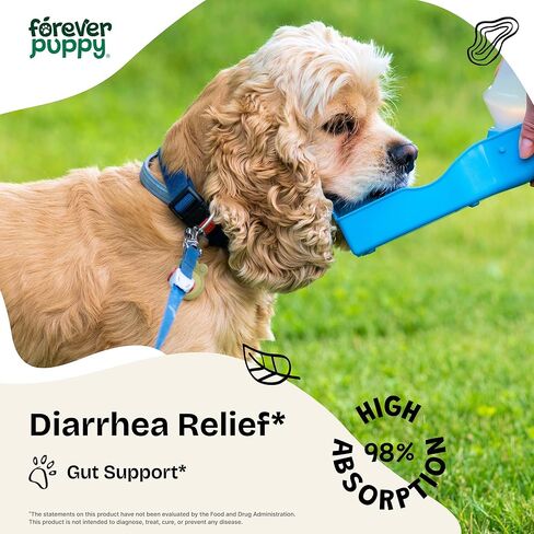 Anti-Diarrhea Liquid Drops for Dogs - Diarrhea Relief Drops - Fiber Supplements w/Psyllium Husk - Prebiotics for Dogs' Digestive Support - Dog Food Supplements for Firmer Stool & Gut Health - 2 oz in Kuwait