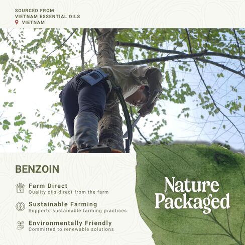 زيت الجاوي العطري - مباشرة من زيت مالاجاسي العطري - زيت الجاوي الراتنجي العطري - زيت الجاوي الطبيعي النقي للبشرة والجسم والعلاج العطري - رائحة زيت الجاوي (15 مل) in Kuwait