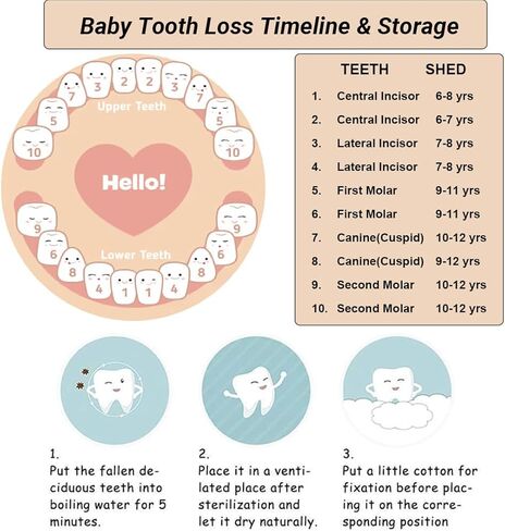 Tooth Fairy Tooth Holder, Handcrafted Natural Wood Storage Box with Fairy Gold Coin, Ideal for Baby Teeth Umbilical Cord Lanugo, Odorless Non-toxic Keepsake Organizer for Lost Teeth Preservation in Saudi Arabia