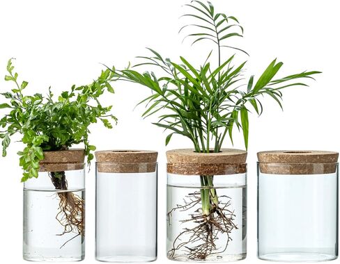 Plant Propagation Stations for Plants, 2 Size Glass Propagation Vases for Propagating Hydroponic Indoor Home Office Decor, Tabletop Glass Planter Gift for Plant Lovers (6) in Saudi Arabia