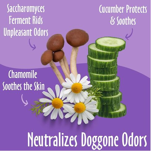 حمام الأرض، مناديل توشي بإكليل الجبل والبابونج - مناديل مبللة للكلاب للكفوف والمؤخرة، أفضل مناديل مبللة للحيوانات الأليفة للكلاب والقطط، مصنوعة في الولايات المتحدة الأمريكية، مناديل تنظيف للكلاب خالية من القسوة، تساعد على تحييد الروائح - 30 عددًا (عبوة وا in Kuwait