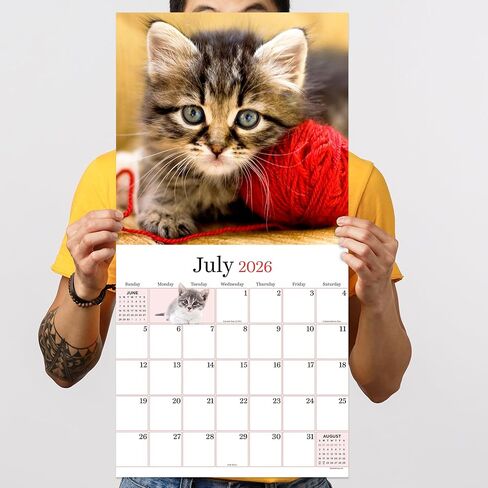 TF Publishing 2026 Kittens Wall Calendar - Large Grids for Appointments and Scheduling - Vertical Monthly Wall Calendar 2026 with Premium Gloss Paper for Home and Office Organization - 12in x 12in in Saudi Arabia