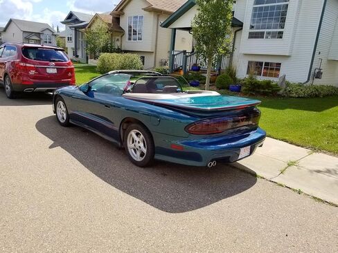 Love The Drive Camaro & Firebird Convertible 1993 إلى 2002 منحرف الرياح عن طريق التجارة؛ عاكس الرياح المعروف أيضًا باسم: حاجب الرياح، والزجاج الأمامي، ومصد الرياح، ومانع الرياح in Kuwait