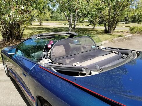 Love The Drive Camaro & Firebird Convertible 1993 إلى 2002 منحرف الرياح عن طريق التجارة؛ عاكس الرياح المعروف أيضًا باسم: حاجب الرياح، والزجاج الأمامي، ومصد الرياح، ومانع الرياح in Kuwait