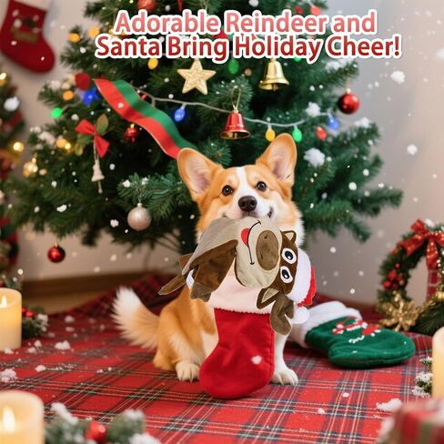 ألعاب بينجبيت للكلاب - عبوتان بدون حشوة لعبة الهالوين للكلاب، لعبة تفاعلية مع كرة تصدر صوتًا وورق مجعد، متعة فائقة تجعل الحيوانات الأليفة مشغولة طوال الوقت، للكلاب الصغيرة والمتوسطة والكبيرة in Kuwait