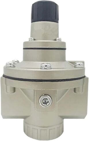 1 قطعة الطيار تعمل منظم AR ل AR625-10BG AR625-10B AR625-10G AR635-06/AR635-10BG(AR635-10BG) in Saudi Arabia