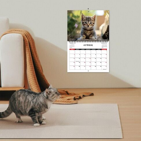 2026 Cat Wall Calendar — 2026 Wall Calendar, 12-Month Full Year, January 2026 to December 2026, Size 8" x 11", Double-Bound Design, Cute Cat Calendar in Saudi Arabia