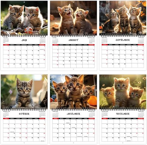 2026 Cat Wall Calendar — 2026 Wall Calendar, 12-Month Full Year, January 2026 to December 2026, Size 8" x 11", Double-Bound Design, Cute Cat Calendar in Saudi Arabia