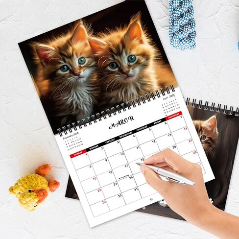 2026 Cat Wall Calendar — 2026 Wall Calendar, 12-Month Full Year, January 2026 to December 2026, Size 8" x 11", Double-Bound Design, Cute Cat Calendar in Saudi Arabia
