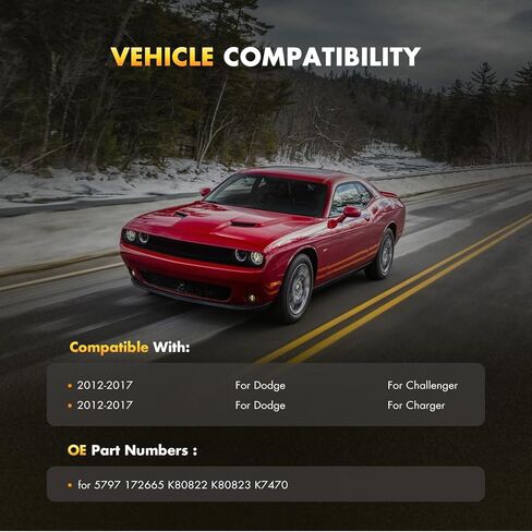 مجموعة دعامة زنبركية من OCPTY، طقم وصلة قضيب تثبيت الصدمات الكاملة يناسب 2012-2017 لسيارة دودج تشالنجر 2011-2017 لسيارة دودج تشارجر 5797 172665 K80822 in Kuwait